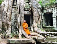 Sdostasien, Kambodscha: Expedition ins unbekannte Land der Khmer - Moench vor dem verwurzelten Tempel 